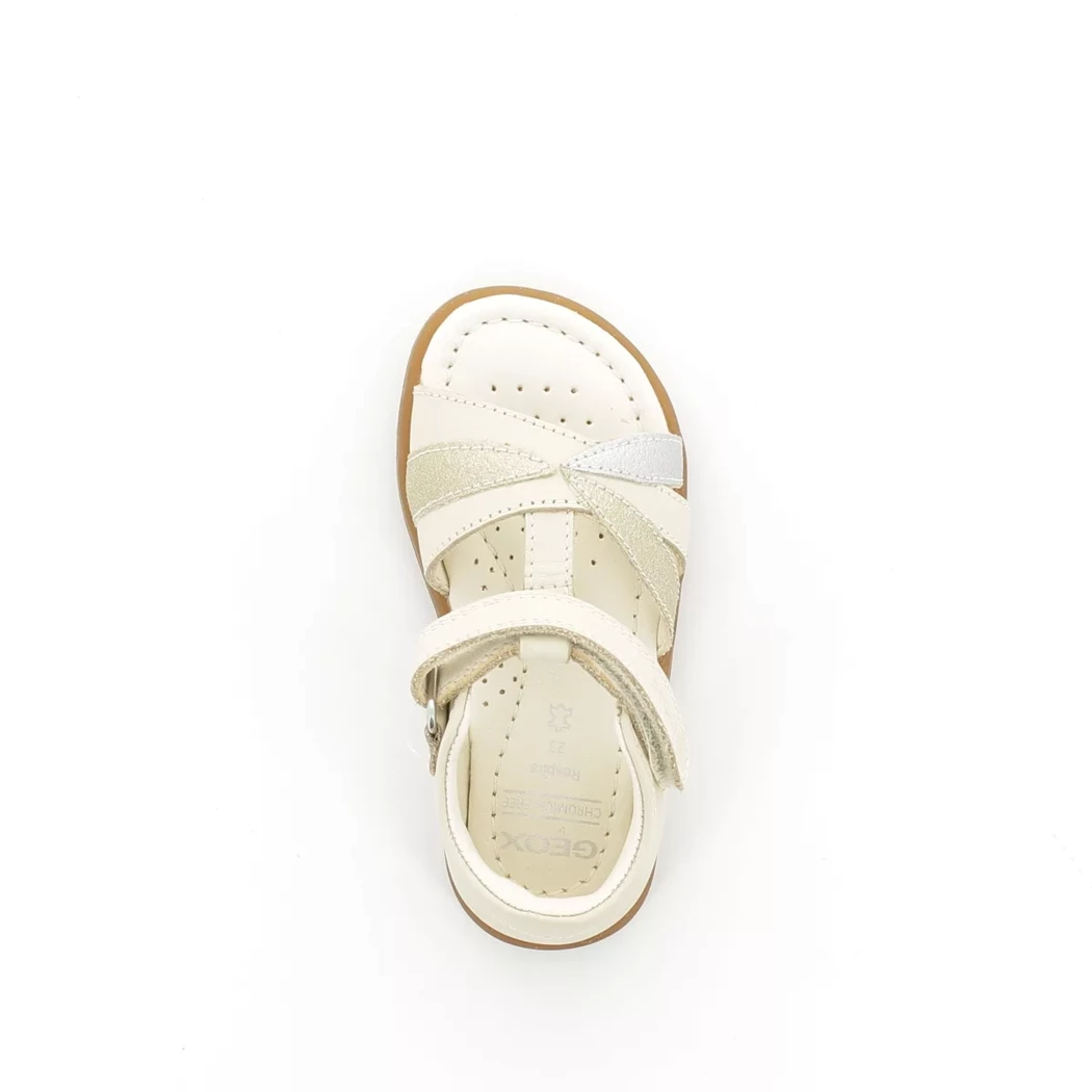 Image (6) de la chaussures Geox - Sandales et Nu-Pieds Beige en Cuir