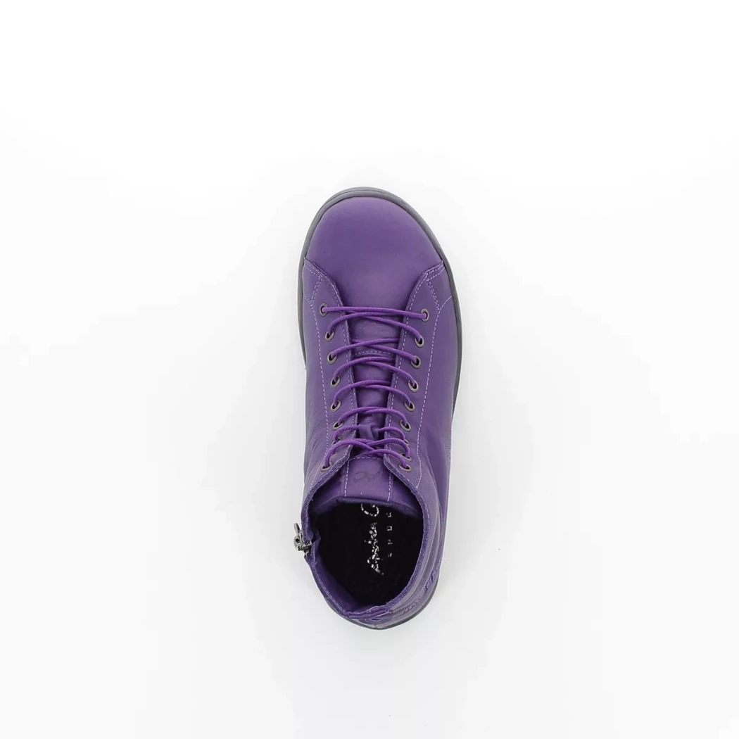 Image (6) de la chaussures Andrea Conti - Bottines Violet / Lilas en Cuir