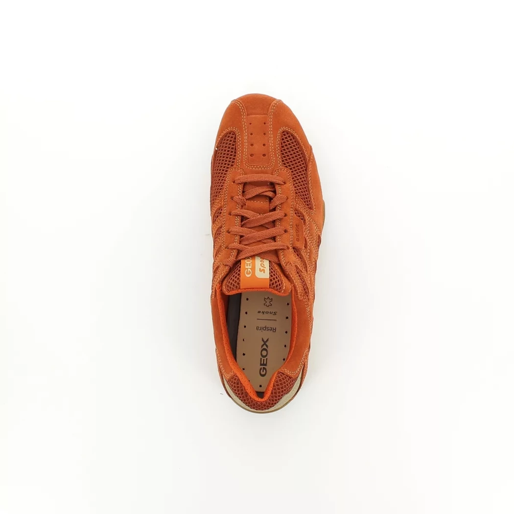 Image (6) de la chaussures Geox - Baskets Orange en Cuir nubuck