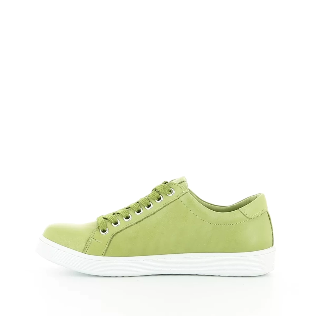 Image (4) de la chaussures Andrea Conti - Baskets Vert en Cuir