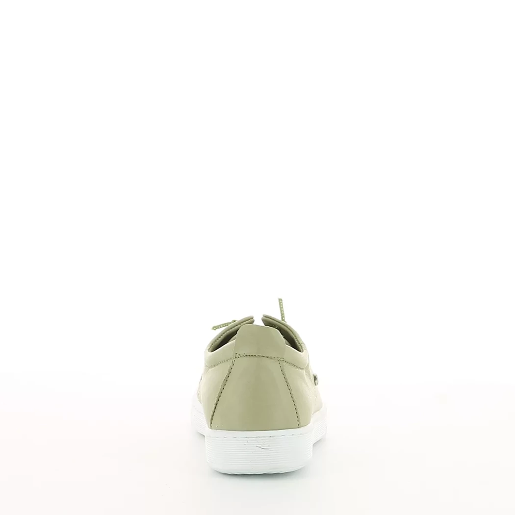 Image (3) de la chaussures Andrea Conti - Baskets Vert en Cuir