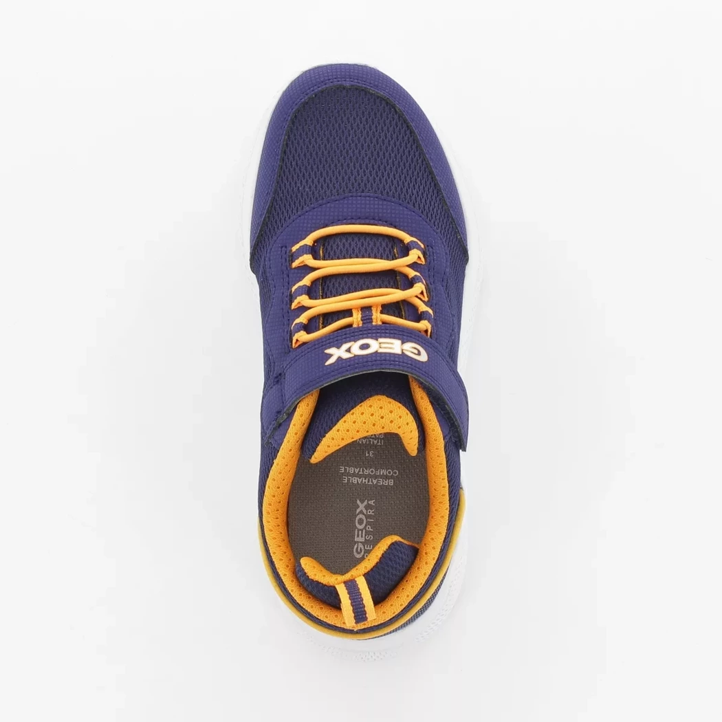 Image (6) de la chaussures Geox - Baskets Bleu en Cuir nubuck