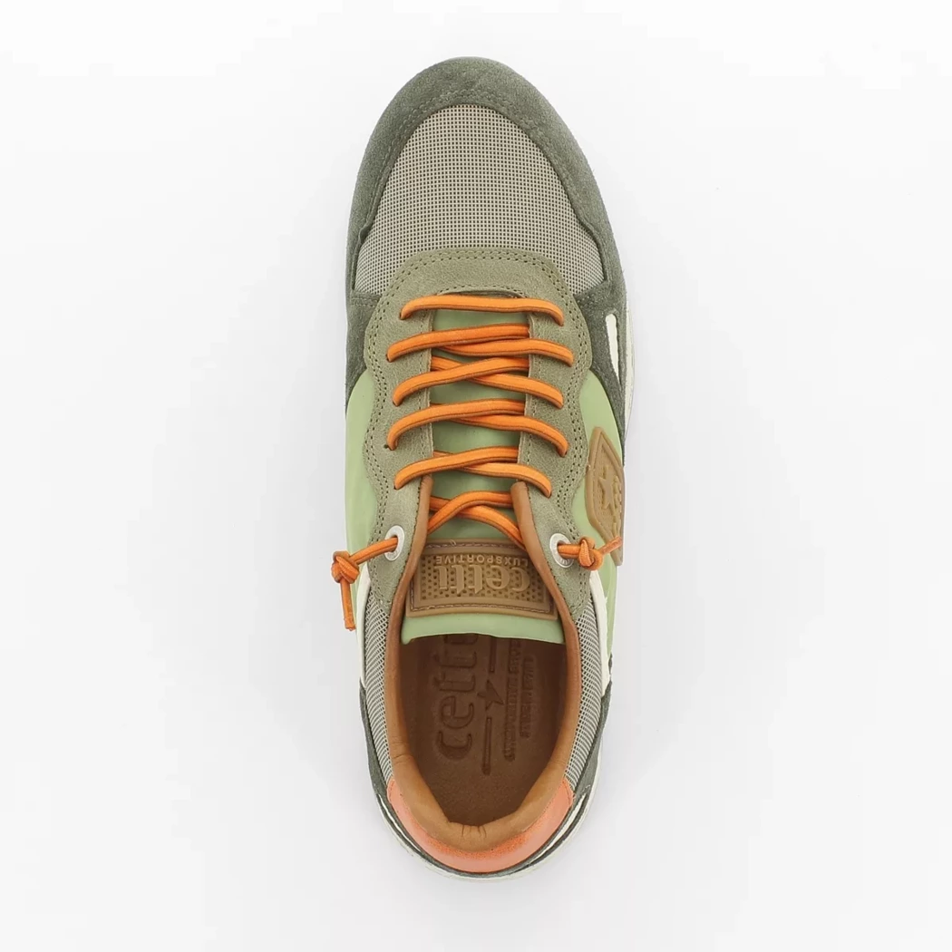 Image (6) de la chaussures Cetti - Baskets Vert en Cuir