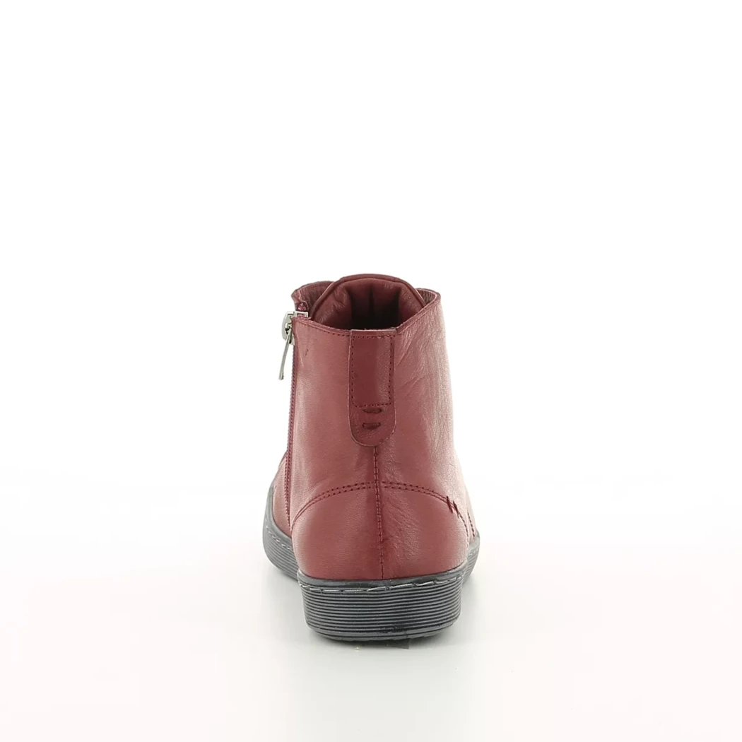 Image (3) de la chaussures Andrea Conti - Bottines Bordeaux en Cuir