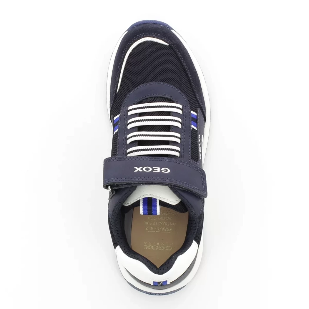 Image (6) de la chaussures Geox - Baskets Bleu en Multi-Matières