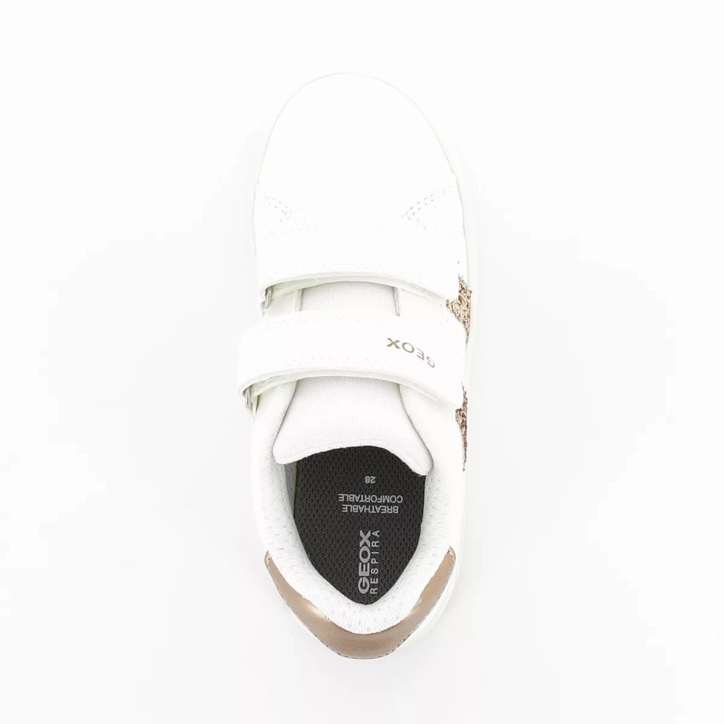 Image (6) de la chaussures Geox - Baskets Blanc en Cuir synthétique