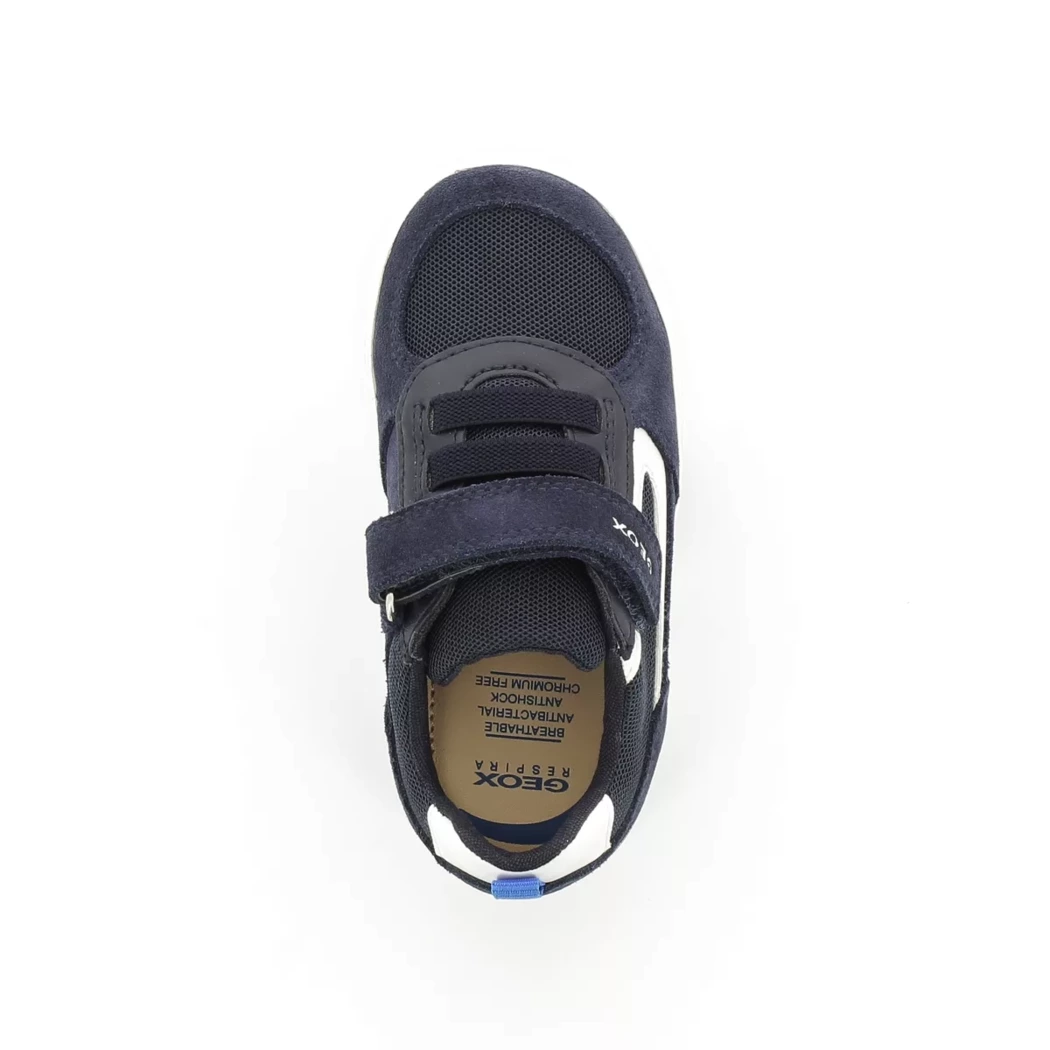 Image (6) de la chaussures Geox - Baskets Bleu en Multi-Matières