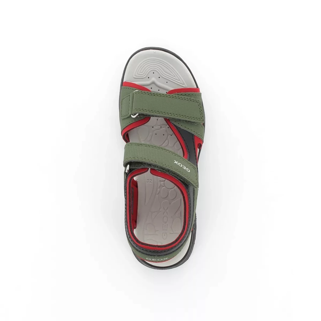 Image (6) de la chaussures Geox - Sandales et Nu-Pieds Vert en Cuir synthétique