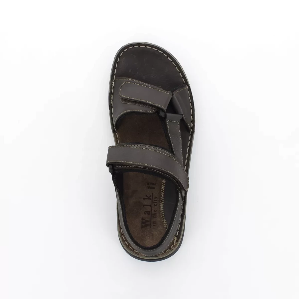 Image (6) de la chaussures Calba - Sandales et Nu-Pieds Marron en Cuir