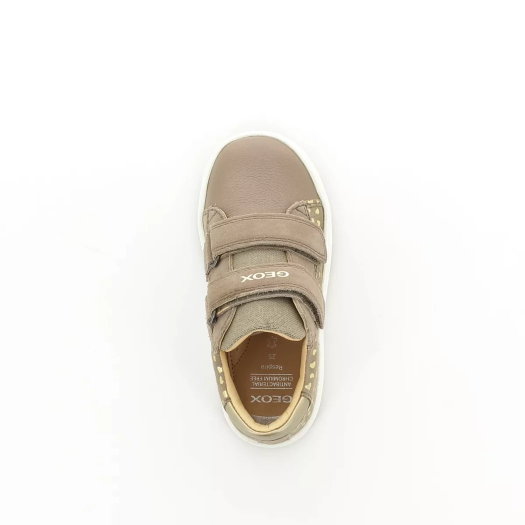 Image (6) de la chaussures Geox - Bottines Taupe en Cuir nubuck
