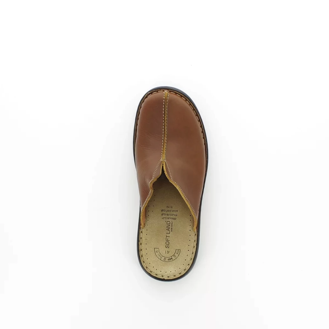 Image (6) de la chaussures Soft Land - Pantoufles et Chaussons Cuir naturel / Cognac en Cuir