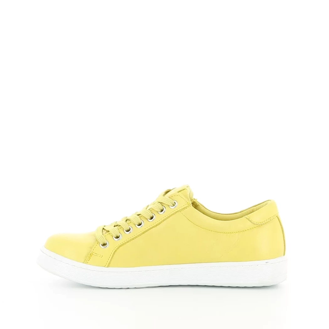 Image (4) de la chaussures Andrea Conti - Baskets Jaune en Cuir