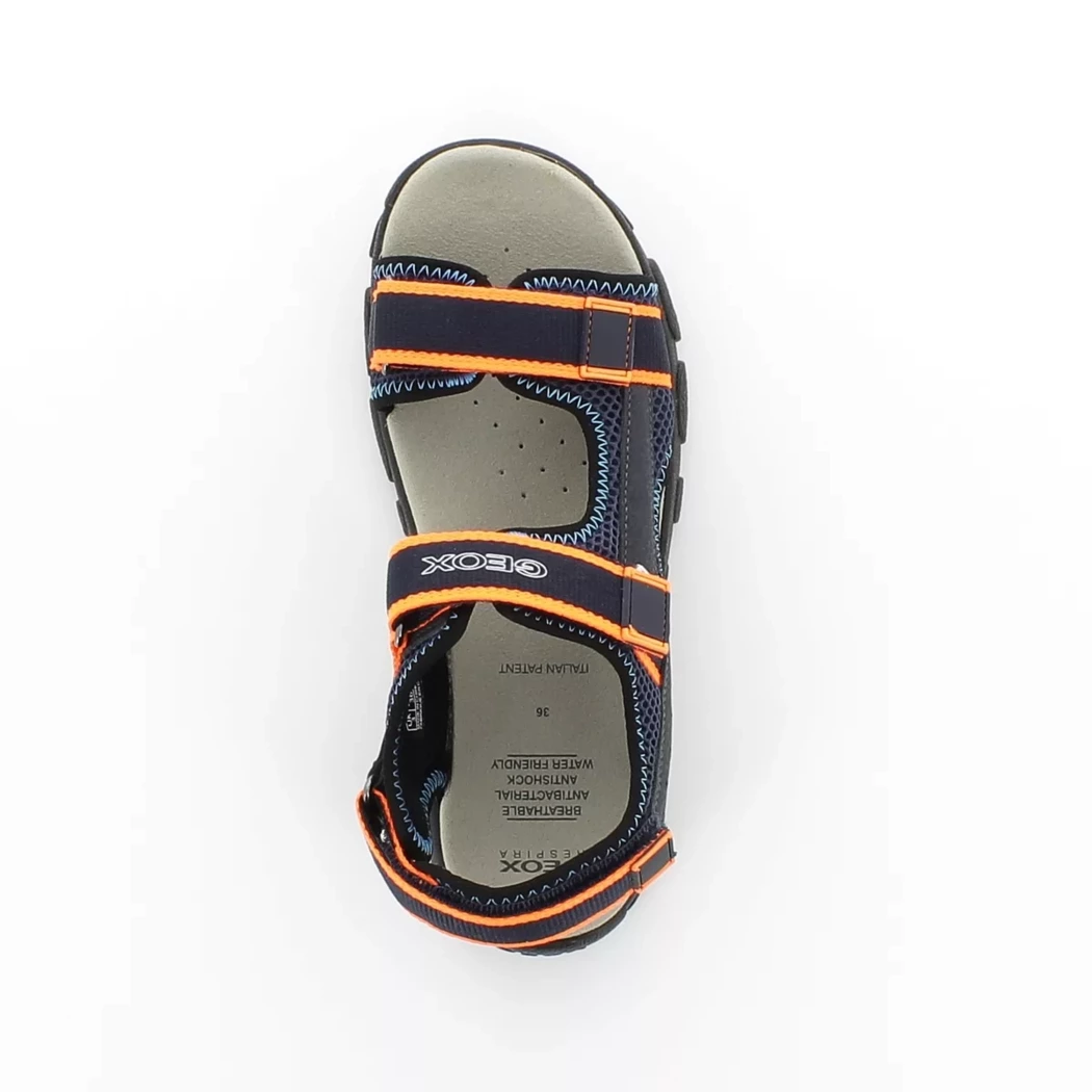 Image (6) de la chaussures Geox - Sandales et Nu-Pieds Bleu en Multi-Matières