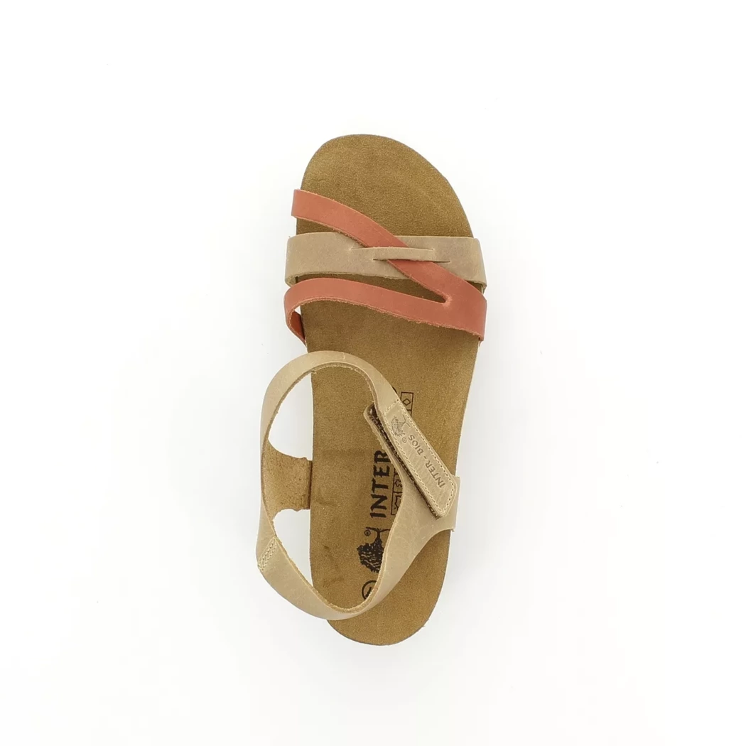 Image (6) de la chaussures Inter Bios - Sandales et Nu-Pieds Taupe en Cuir
