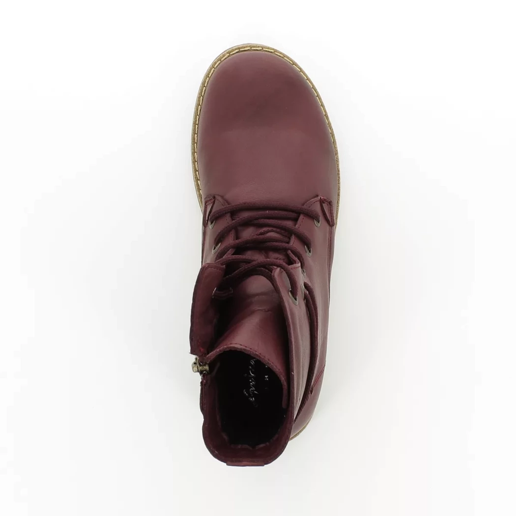 Image (6) de la chaussures Andrea Conti - Bottines Bordeaux en Cuir